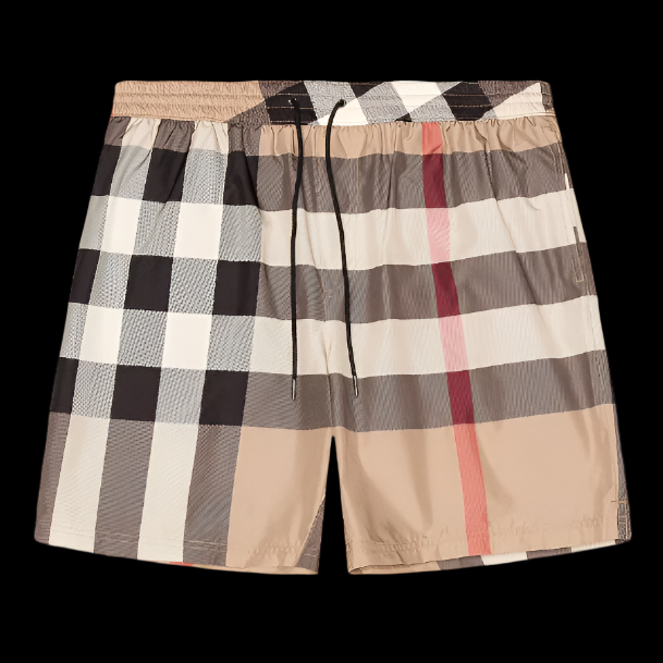 Burberry Swim Shorts DripHaus